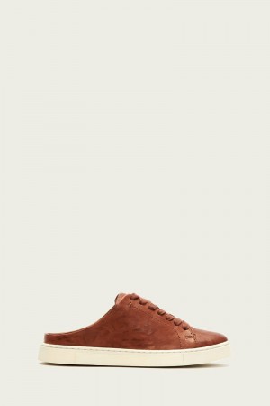 Frye Ivy Low Lace Mule Women Sneakers Brown | DSZT80913