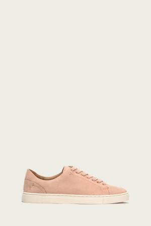 Frye Ivy Low Lace Women Sneakers Pink | JMSR86372