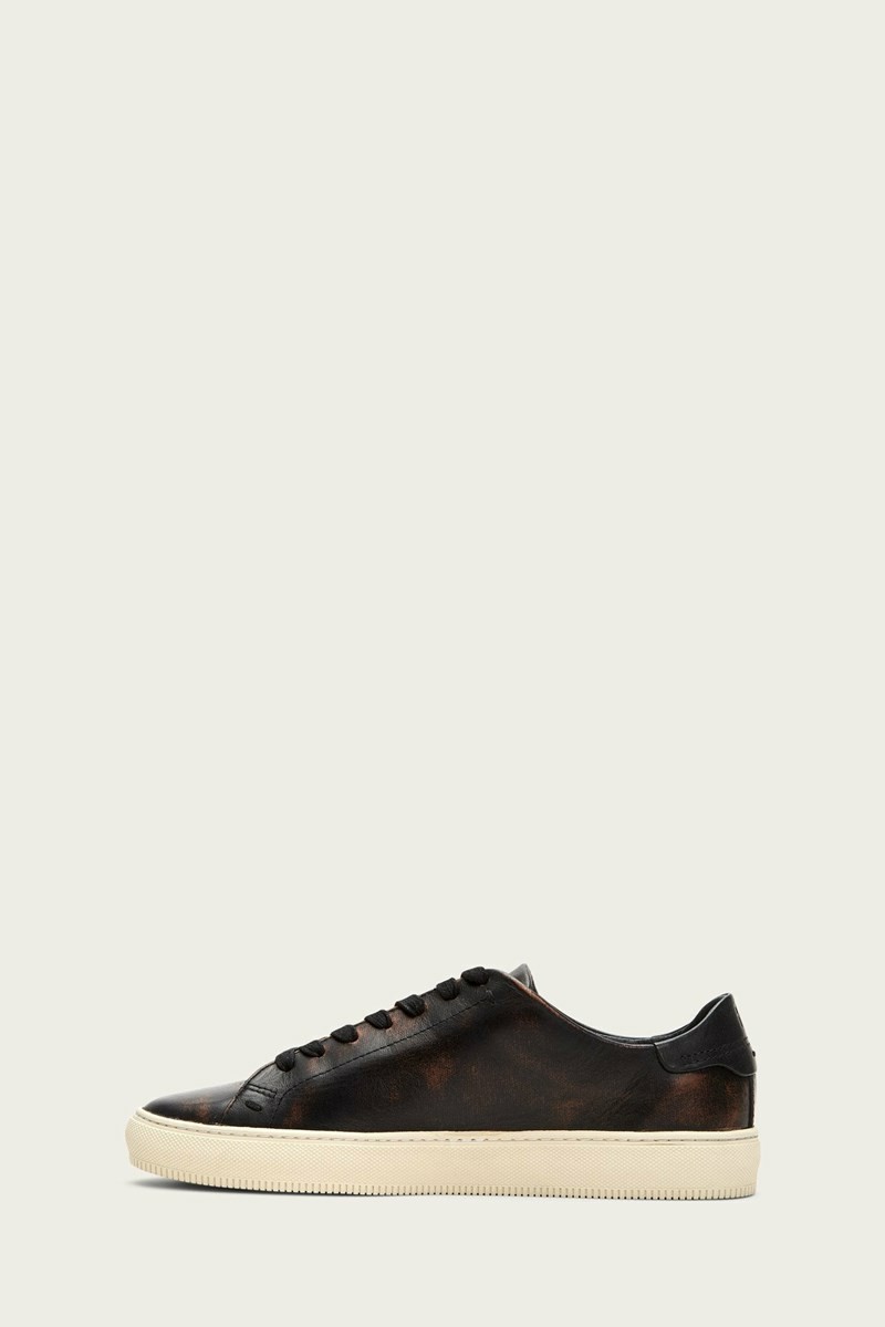 Frye Astor Low Lace Men Sneakers Black | MFIZ46932