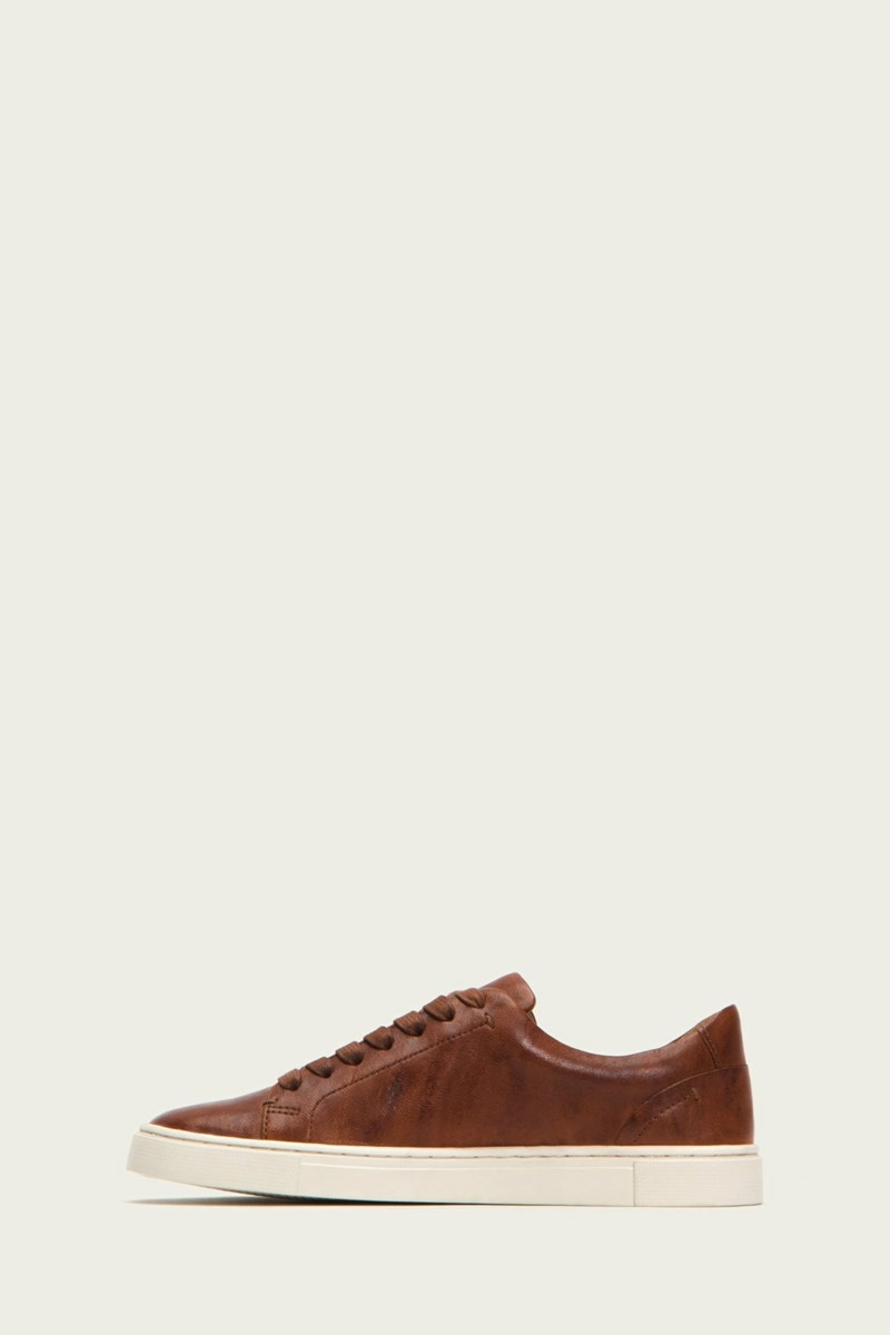 Frye Ivy Low Lace Women Sneakers Brown | DSQL32908